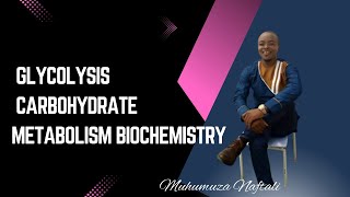 Glycolysis  carbohydrate metabolism biochemistry [upl. by Dorelle544]