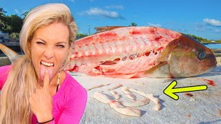 Would You Eat Worm Infested Fish [upl. by Pump]