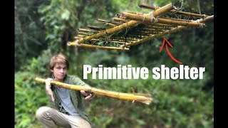 Primitive SURVIVAL shelter in Australia [upl. by Darian310]