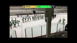 STINGRAYS 16AA vs QCR 16AA [upl. by Harness]