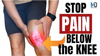 Heal Patellar Tendinitis Fast  Jumpers Knee Solution [upl. by Atik]