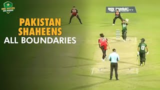 Pakistan Shaheens Boundaries in Win Over Melbourne Renegades  Top End T20 Series 2024  MA2A [upl. by Ellehsram581]