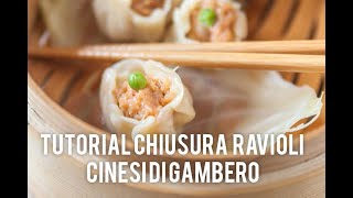 Tutorial come chiudere gli involtini di gambero cinese o Shaomài [upl. by Azar]