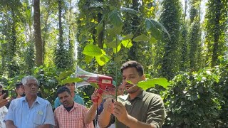 PART 1 GROW SMART PLANTATION VISIT TO KARAN COFFEE PLANTATION BY HASIRU ORGANICS [upl. by Xonel183]