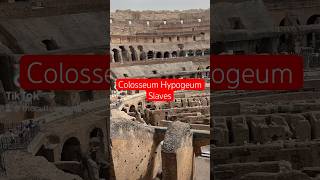 Colosseum Hypogeum Slaves [upl. by Aday]