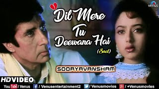 Dil Mere Tu Deewana HaiSad  Amitabh Bachchan amp Soundarya  Sooryavansham  Ishtar Music [upl. by Sakiv]