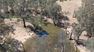 Loddon River  camping and fishing for Murray Cod [upl. by Letnoj72]