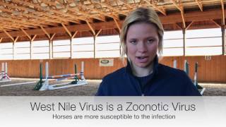 Equine Vaccinations West Nile Virus [upl. by Bergin376]