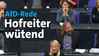 Anton Hofreiter flippt bei AfDRede von Curio im Bundestag aus  BR24 [upl. by Eeliab]