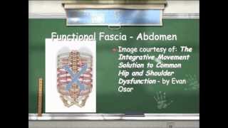 Fascia and Fitness What Goes Wrong [upl. by Madelin]