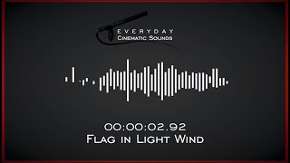 Flag in Light Wind  HQ Sound Effects [upl. by Theobald365]