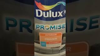 Dulux PROMISE paints wallartisthd dulux painting aqua [upl. by Yesnnyl638]