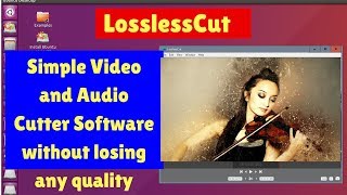 LosslessCut A Simple Video and Audio Cutter Software without losing any quality For Ubuntu [upl. by Anawak528]