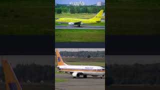 TUIfly 50 Jahre Jubiläum Boeing 737 Max 8 DAMAH Collage [upl. by Muncey371]