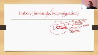 gastrulation in frog class 12 biology [upl. by Libby162]