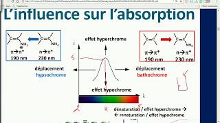 CHROMOPHORE ET AUXOPHORE SPECTROSCOPIE BIOCHIMIE ANALYTIQUE PARTIE 3 [upl. by Nortal]