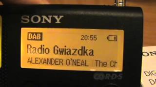 Sony XDRP1DBP Digital Radio Broadcasting DAB [upl. by Adnawal]