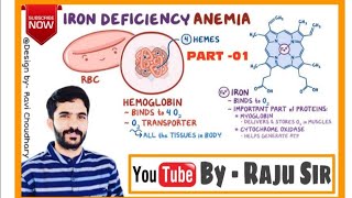 IRON DEFICIENCY ANAEMIA PART 01 [upl. by Airotkciv186]