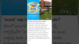 Nandini cow Ghee [upl. by Senilec]