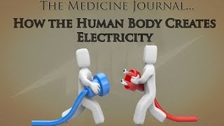 How the Human Body Creates Electricity [upl. by Koblick274]