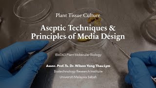 Plant Tissue Culture I Aseptic Techniques and Principles of Media Design [upl. by Azzil]