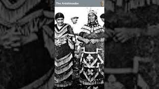 The Anishinaabe Shorts [upl. by Bitthia]