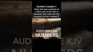 Bible Numbers Chapter 1 Benjamin’s Warriors ThirtyFive Thousand Four Hundred Strong bibleverse [upl. by Annaillil317]