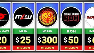 Richest Wrestling Companies In 2024 [upl. by Refiffej426]