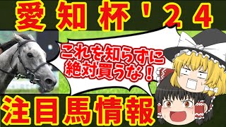 【愛知杯】荒れすぎ注意報！！知らないと損をする注目馬の情報！！ [upl. by Aeynod]