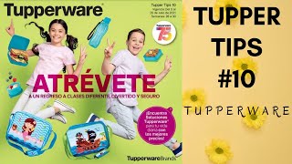 Tupper Tips 10 2021  TUPPERWARE MÉXICO [upl. by Randolf]