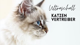 Katzenschreck Ton Ultraschall zum vertreiben von Katzen [upl. by Remmos]