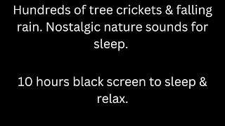 Hundreds of tree crickets amp falling rain black screen sleep relax 10 hour cricket sounds rain sound [upl. by Lyrred]