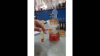 2 4 DNPH test I 2 4 dnp test class BSc I 2 4 dinitrophenylhydrazone of benzaldehyde I UO CHEMISTRY [upl. by Iaria]