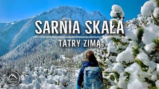 Sarnia Skała  Tatry zimą  Dolina Strążyska Ścieżka nad Reglami 05042021 [upl. by Grey70]