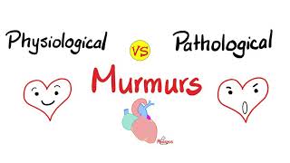 Physiological Murmurs vs Pathological Murmurs  Comparisons [upl. by Kinelski]