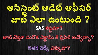 Assistant Audit Officer Job profile in Telugu I SAS Exam and Fieldwork  AAO job profile in Telugu [upl. by Ardnoid]