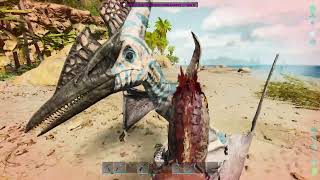 ARK Survival Ascended  Ep04  Pteradon tamed [upl. by Adroj]