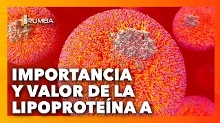 ¿Qué es la lipoproteína A y cuál es su función Dr Ángel González Medina [upl. by Enilehcim]