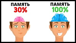 Запоминай БЫСТРО и ЛЕГКО  6 простых способов [upl. by Anaj]