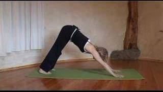 Yoga Downward Facing Dog with Esther Ekhart [upl. by Harhay497]