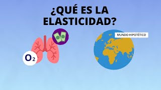 ¿Qué es la elasticidad [upl. by Leod]