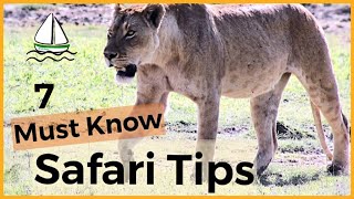 7 BEST AFRICAN SAFARI TIPS TanzaniaSerengeti Ngorongoro Crater Manyara Tarangire 33 [upl. by Giustino416]