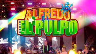 Alfredo quotEl Pulpoquot y sus teclados  Mambo 8 EN VIVO [upl. by Bettzel246]