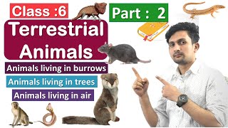 Terrestrial Animals  Part  2  Class  6  Burrowing Animals  Aerial animals  Arboreal Animals [upl. by Marsh]