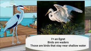 Meet the Animals 11 Egret [upl. by Ocsecnarf510]