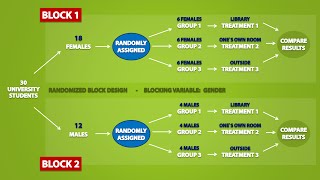 Types of Experimental Designs 33 [upl. by Celinka]