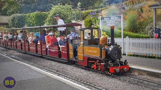 Beer Heights Light Railway  Pecorama  29072019 [upl. by Luise]