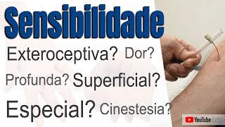 TIPOS DE SENSIBILIDADE Superficial Profunda e Especial  Prof Rogério Souza [upl. by Brooking]