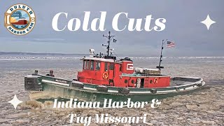 quotCold Cutsquot Indiana Harbor departed Superior 01142023 [upl. by Rehm]