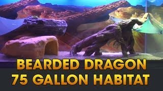 Drogos Domain  75 Gallon Tank for Bearded Dragon [upl. by Thadeus473]